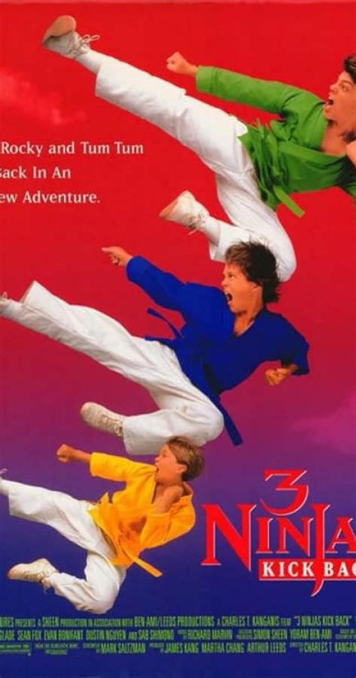 3 Ninjas Kick Back (1994)