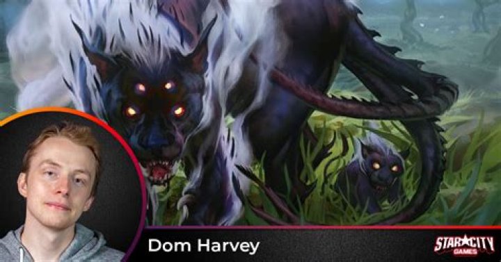 A Look Into The Wild World of Vintage Magic