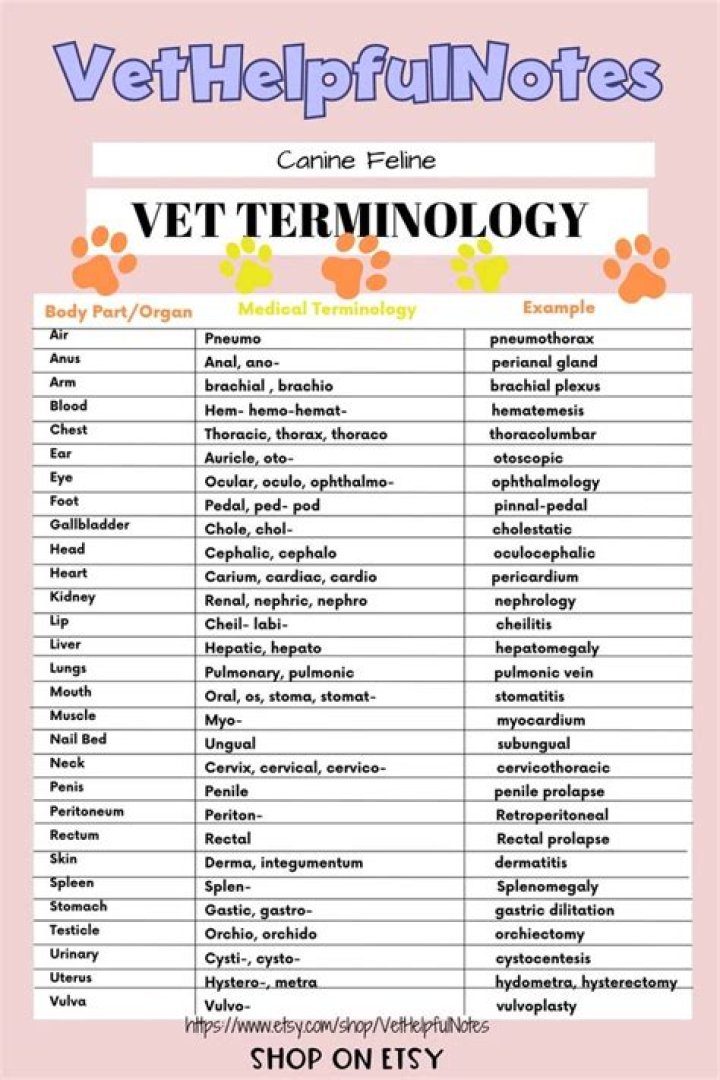 Animal Name Terminology Quiz