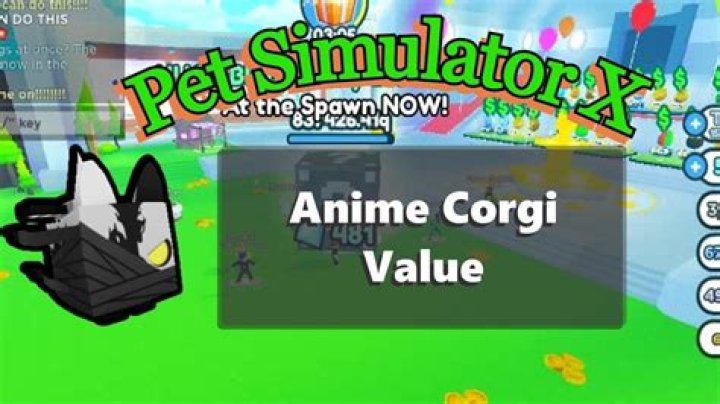 Anime Corgi Value