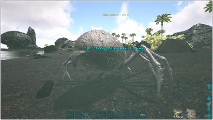 Ark Araneo (How to Tame, Controls, Uses, Food, Location…)