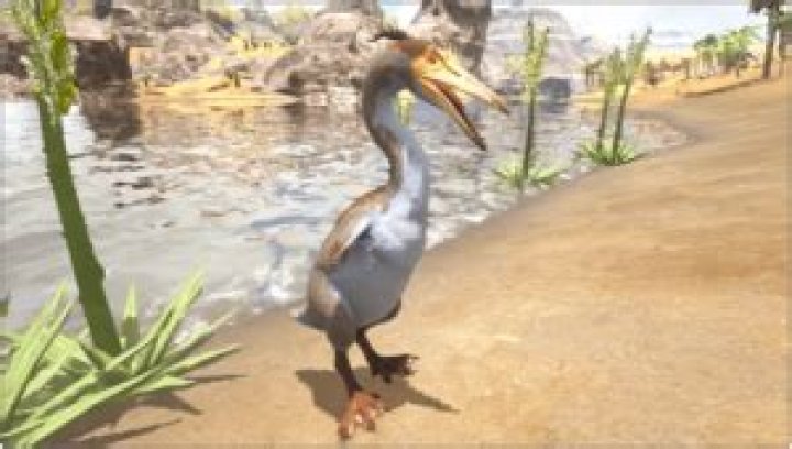 Ark Hesperornis (How to Tame, Drops, Food, Location…)
