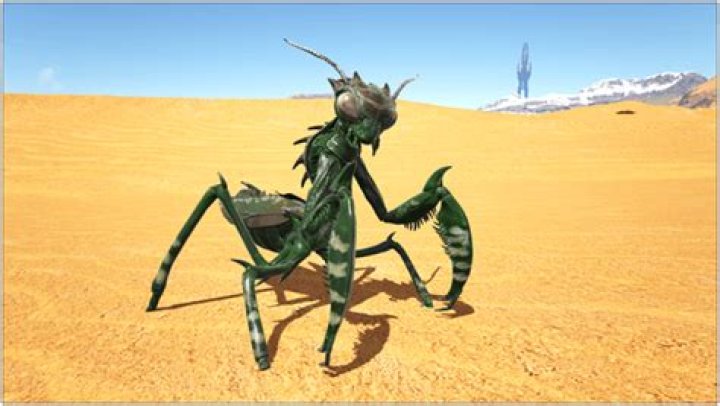 Ark Mantis (How to Tame, Drops, Food, Location…)