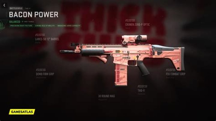 Bacon Power | Warzone and Modern Warfare 2 Blueprint