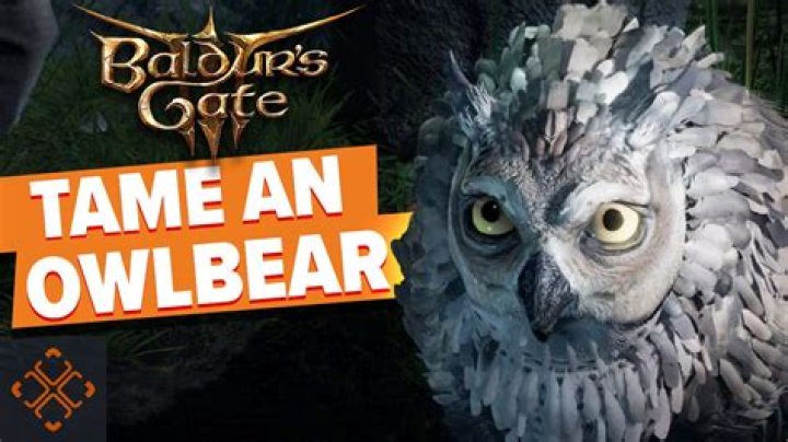Baldur's Gate 3: How to Get the Owlbear Cub in BG3