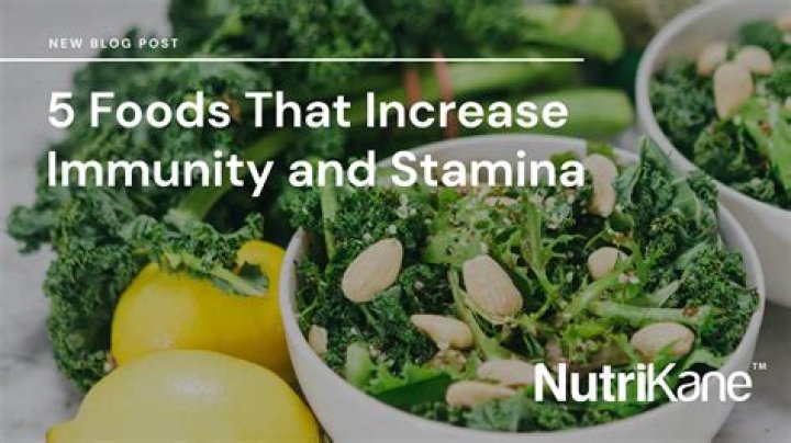 Best foods for stamina and health in Valheim