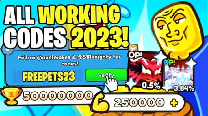 Bigman Simulator Codes (June 2022)