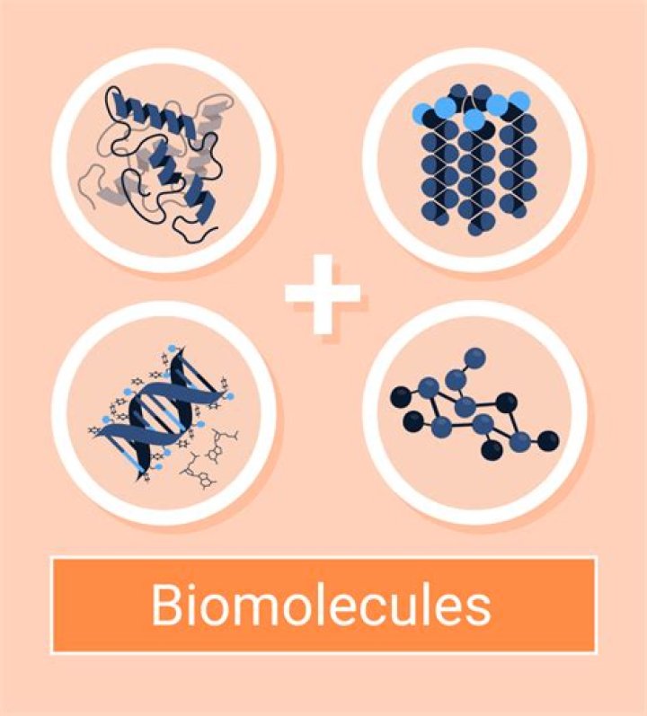 Biomolecules: Functions and types Quiz