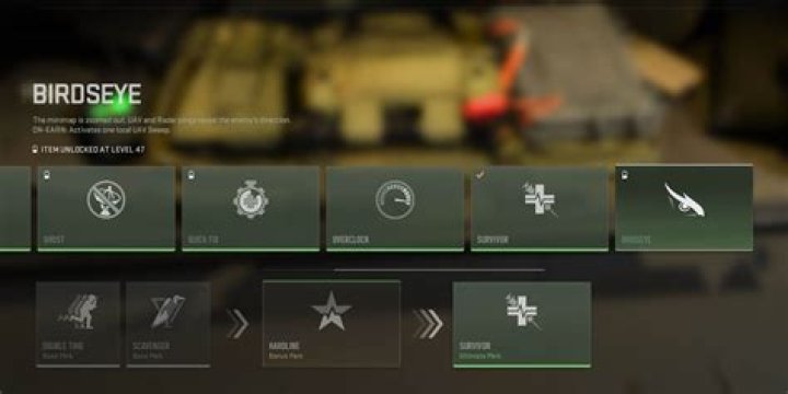 Birds’ Eye | Modern Warfare 2 Perk Guide