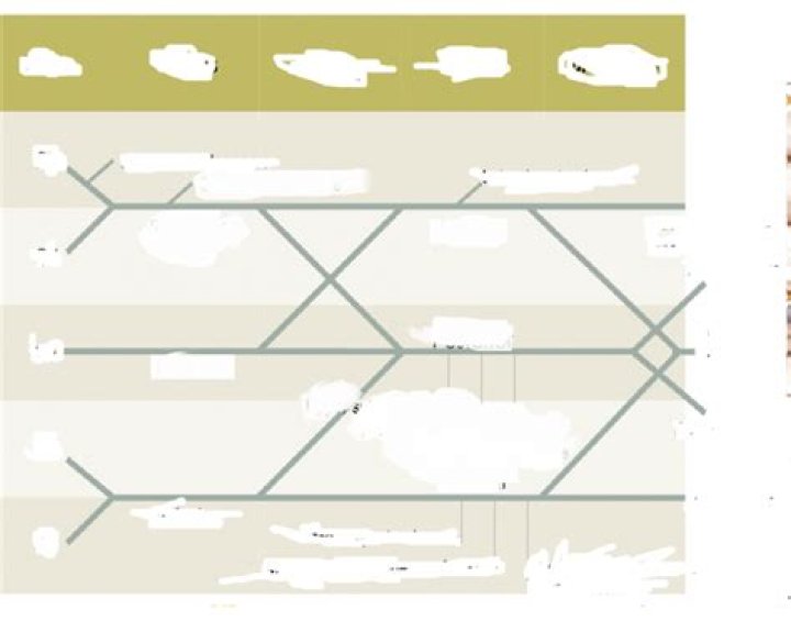 Brachial plexus drawing Quiz