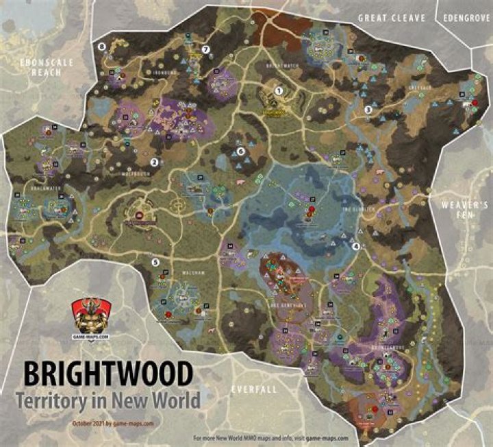 Brightwood Map for New World MMO