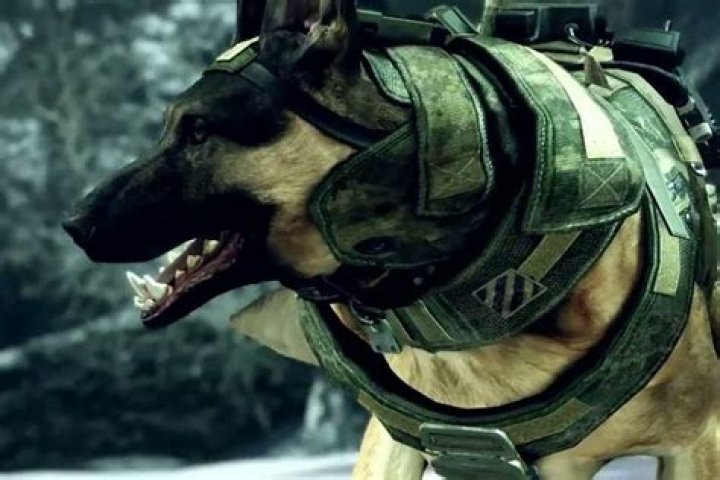 Call of Duty: Ghosts next-gen upgrade plan detailed