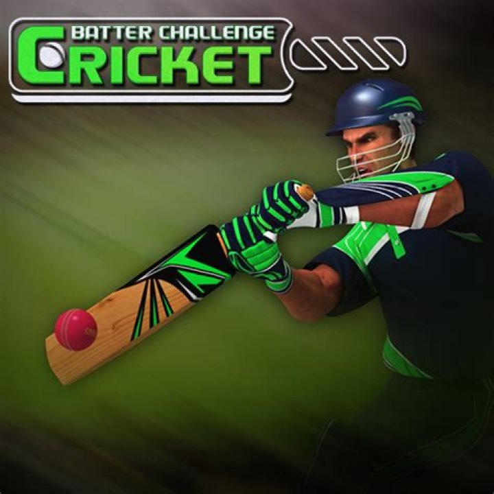 Cricket Batter Challenge