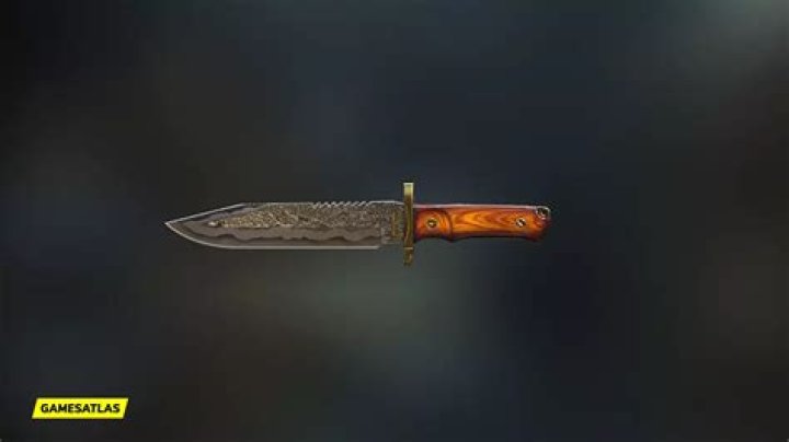 Dam Blade | Warzone and Modern Warfare 2 Blueprint