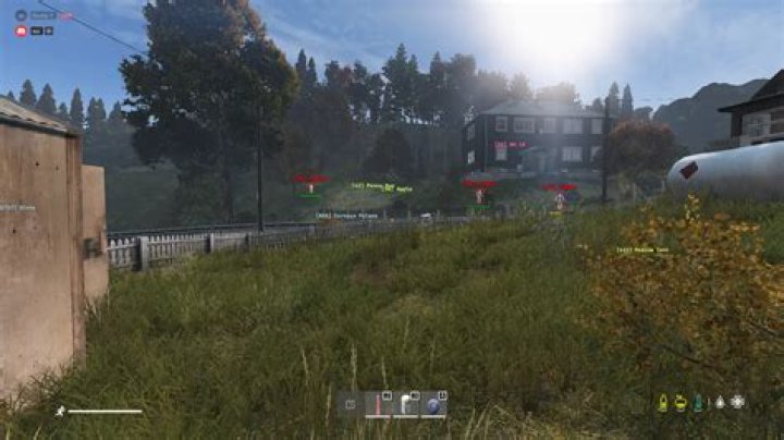 DayZ Standalone Hacks and Cheats Surface