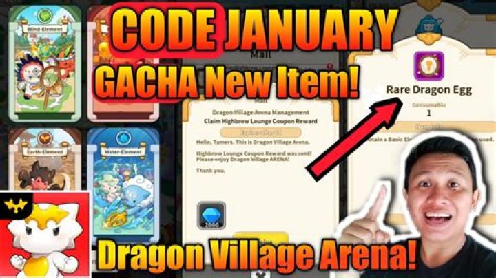 Dragon Village Arena Codes (January 2024)