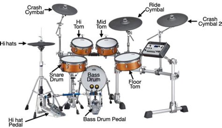 Drumset Anatomy Quiz