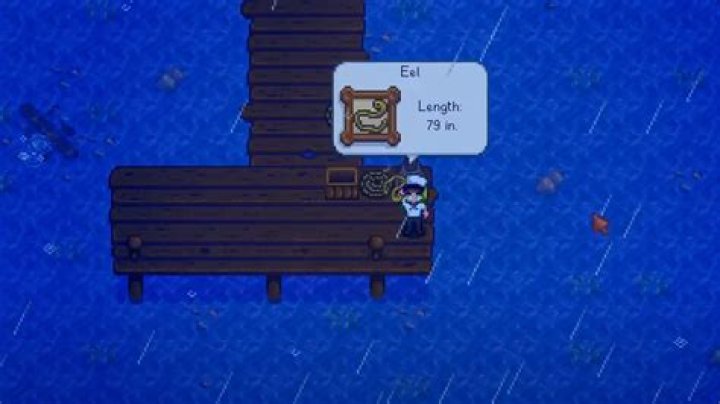 Eel Stardew Valley Location | How To Find & Catch Eels