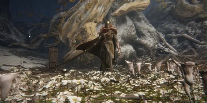 Elden Ring's latest battle of the bosses mod pits Malenia against Maliketh