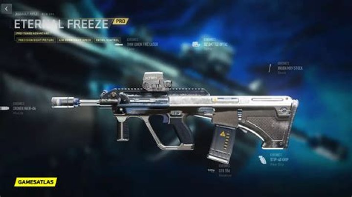 Eternal Freeze | Warzone and Modern Warfare 2 Blueprint