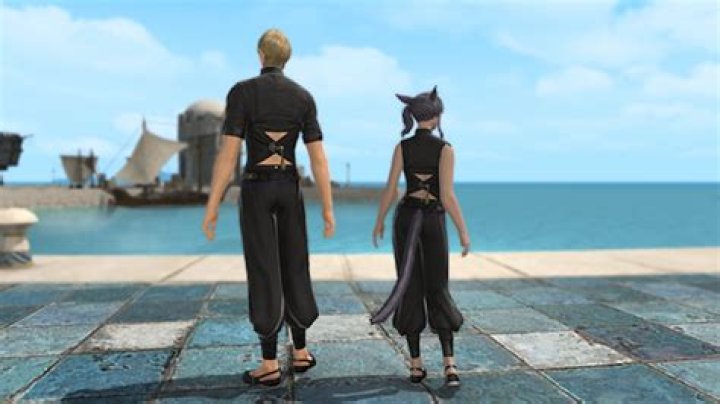 Final Fantasy XIV: How to Get The Martial Artist Outfit