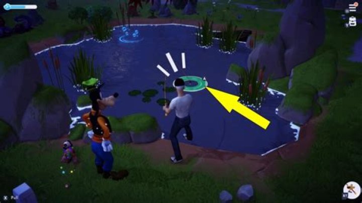 Fishing Guide: How To Fish Properly