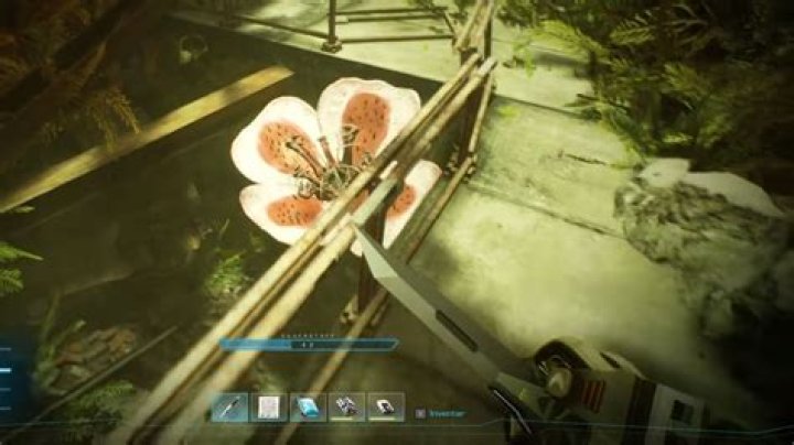 Forever Skies: How to Get Past Flowers 