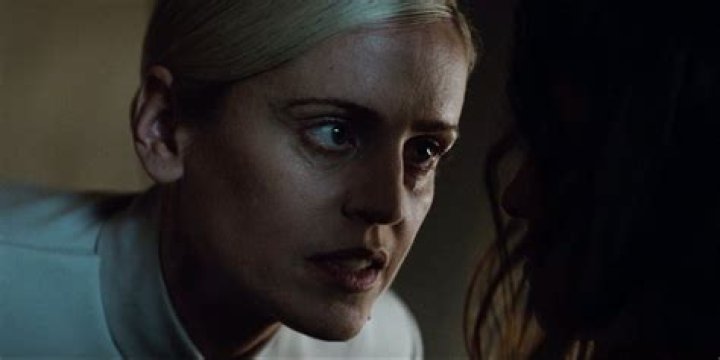 Full List, Guide, What They Do and If They're Useful