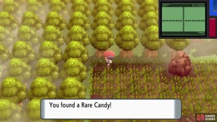 Great Marsh (Encounters & Items) - Fen Badge - Walkthrough | Pokémon: Brilliant Diamond & Shining Pearl