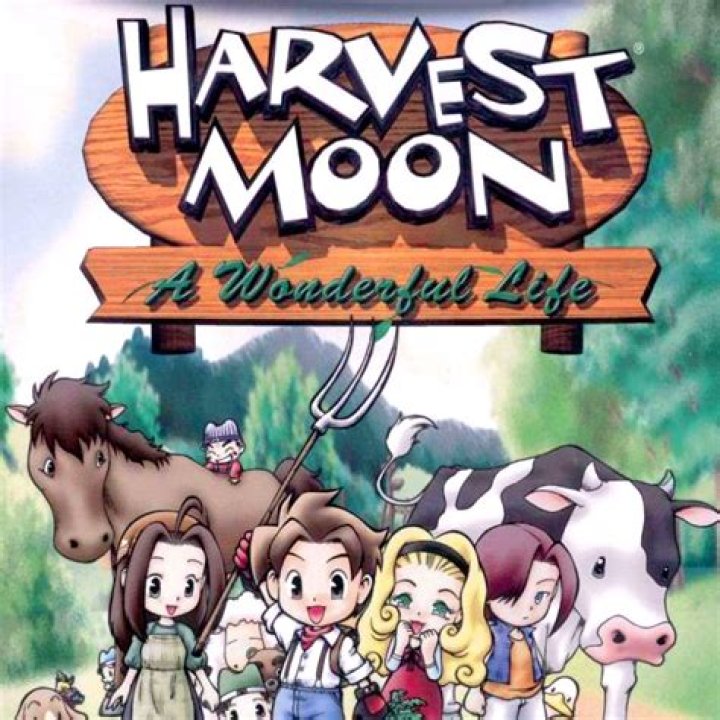 Harvest Moon: A Wonderful Life (2004)