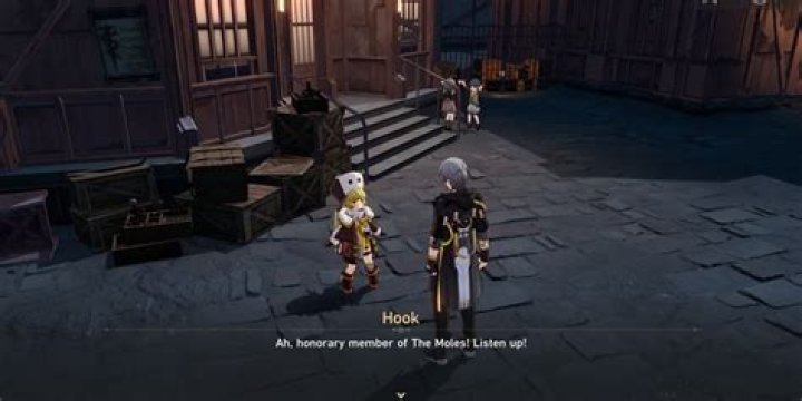 Honkai Star Rail Hook Build Wiki (January 2024)