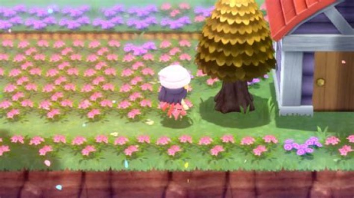 How do Honey Trees work in Pokémon Brilliant Diamond and Shining Pearl