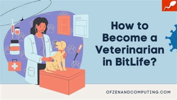 How to become a veterinarian in BitLife