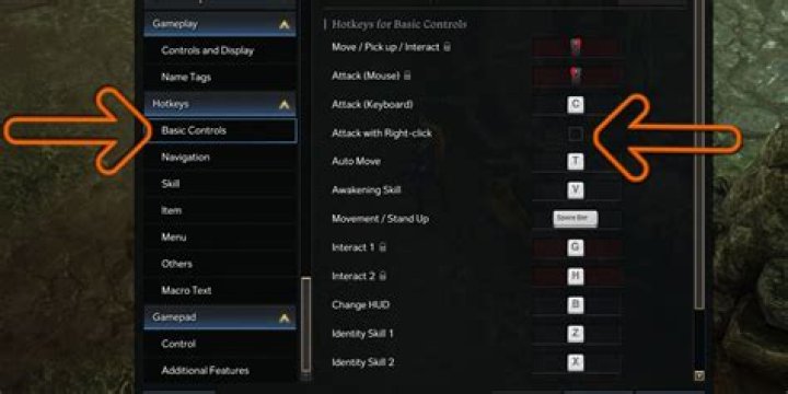 How to change mouse controls in Lost Ark?