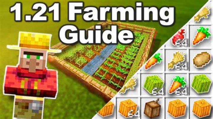 How To Farm, Gain, & Level Up XP Fast In Minecraft? Farming Guide