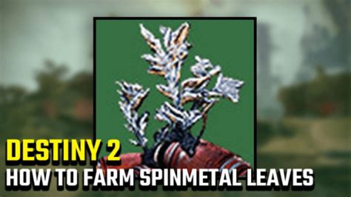 How to farm Spinmetal Leaves in Destiny 2