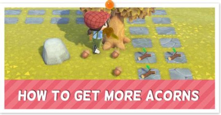 How To Get Acorns In Animal Crossing New Horizons (ACNH) 2021