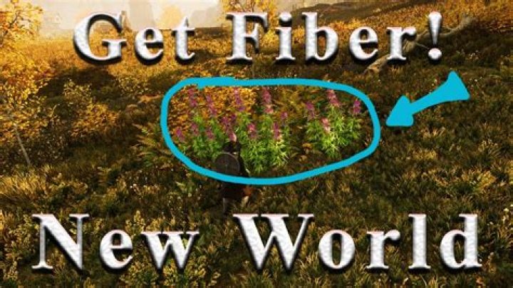 How to get Fiber in New World