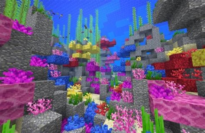 How To Get Minecraft Coral & What They Are Used For