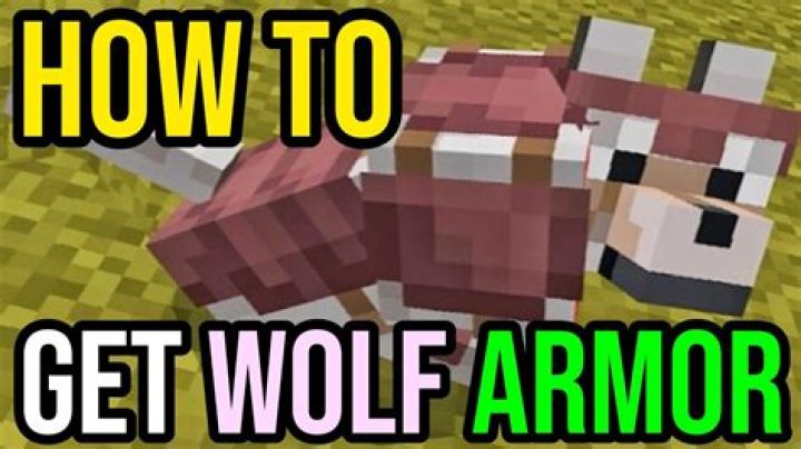 How To Get Wolf Tail in RE4 Remake