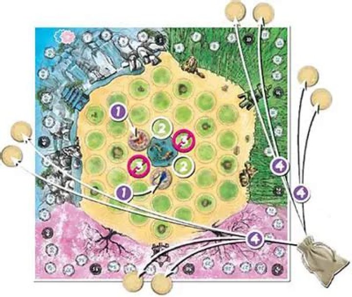 How to play Seikatsu with four players | Game Rules