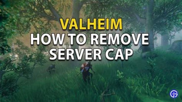 How To Remove Server Cap In Valheim