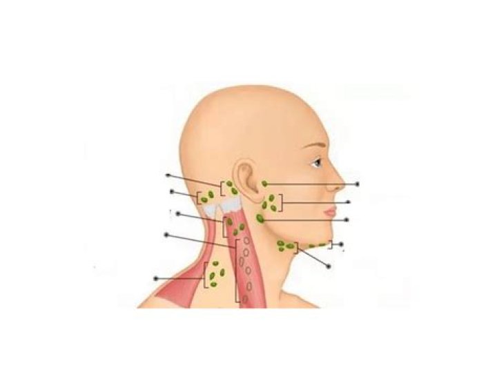 Linfonodos Cabeça e Pescoço Quiz