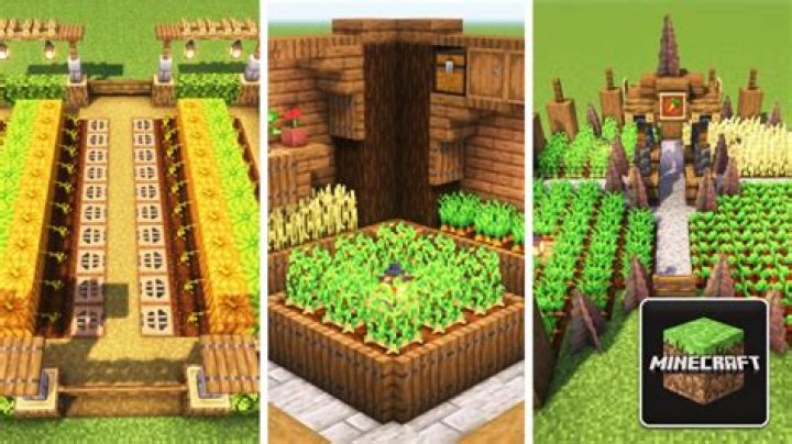 Minecraft - Does the Fortune Enchantment Work on Crops?