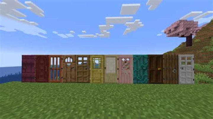 Minecraft Doors