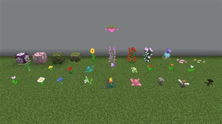 Minecraft Flowers