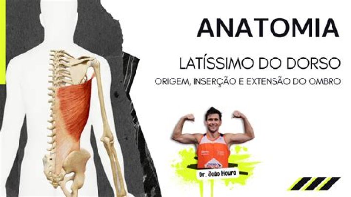 Músculos do dorso - Prof. Fabio Neves Quiz