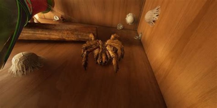 Over a million of us are fighting giant spiders in Grounded