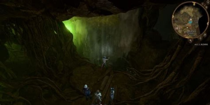 Overgrown Tunnel - Baldur's Gate 3 Database