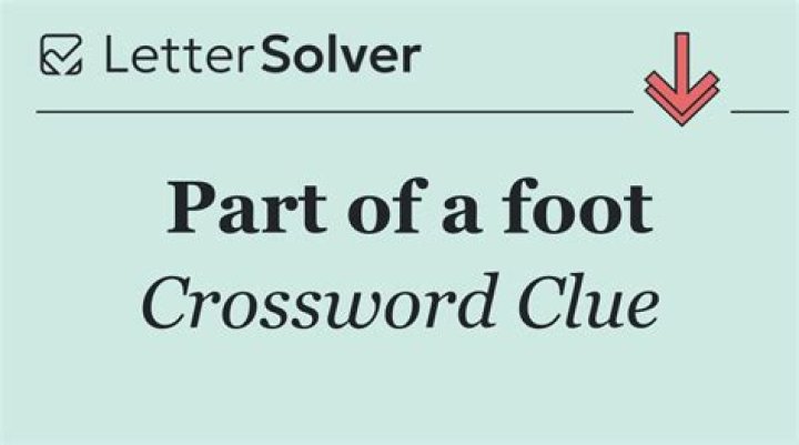 Part of a foot Crossword Clue
